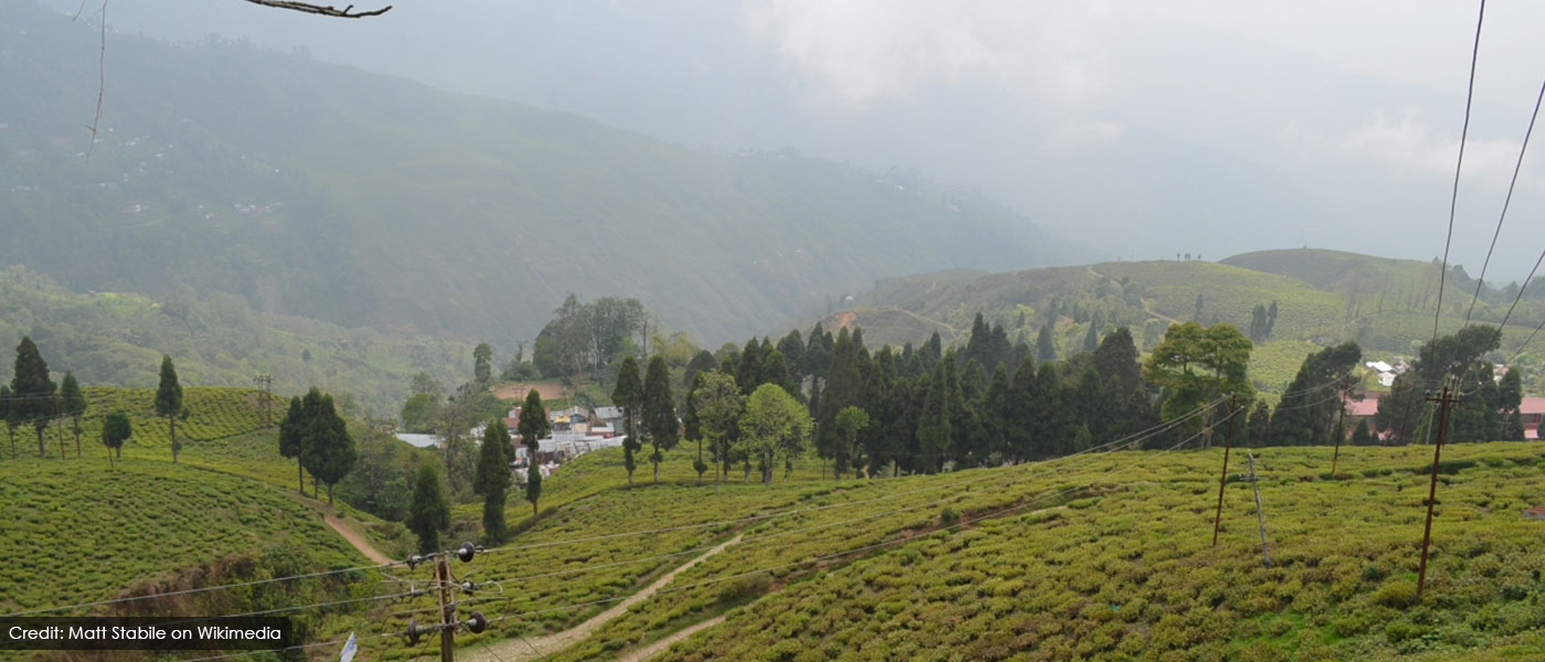 Gangtok Tsomgo Lake Lachung Tour