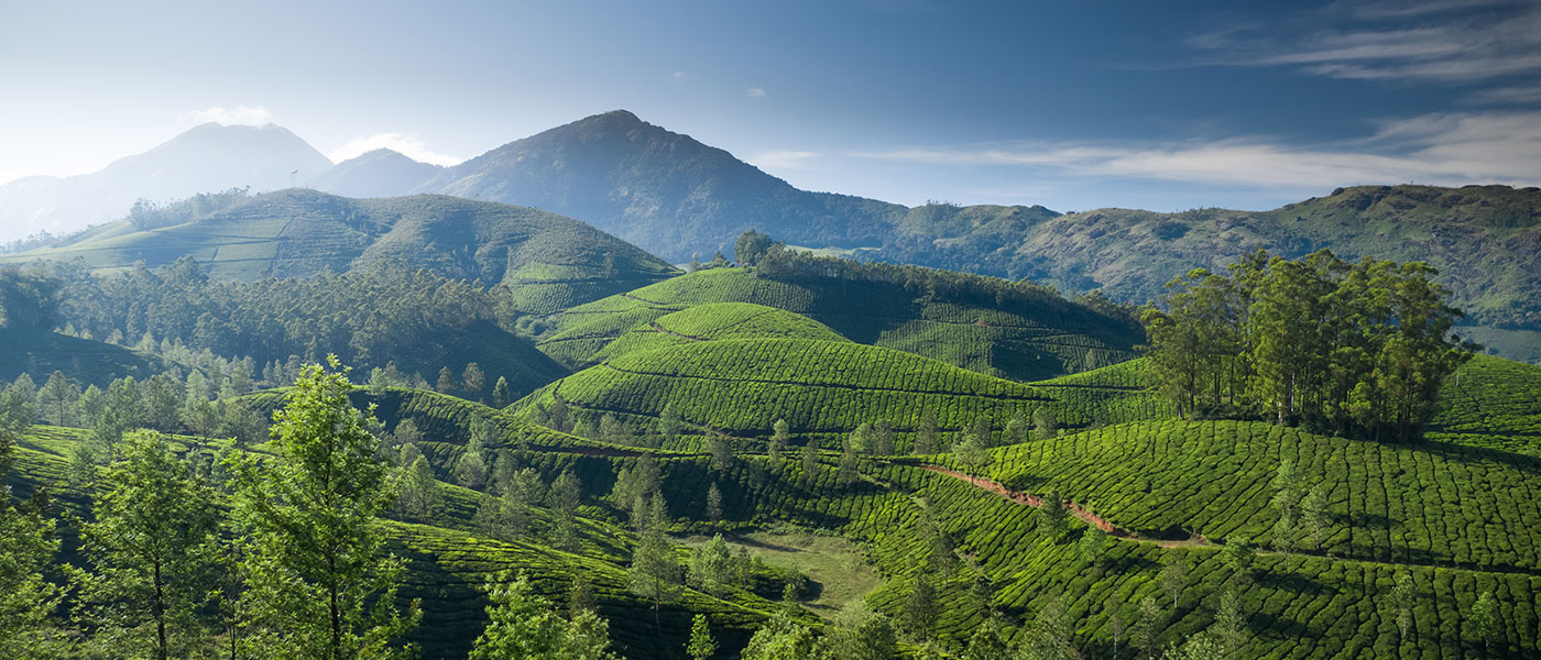 Welcome To Eastern Himalaya