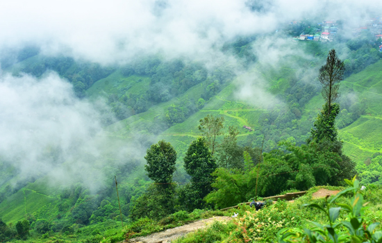 Mirik