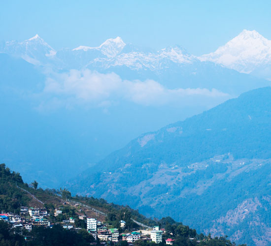 Tashi Viewpoint